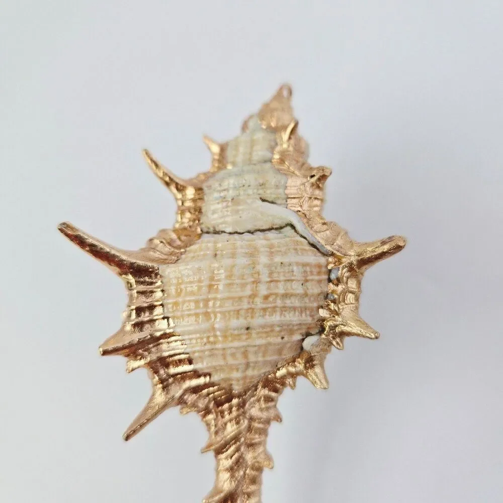 2 Large Natural Shell Charm Pendants for Jewelry Making Craft Supply Earrings